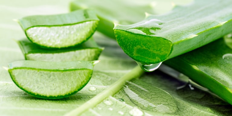 Proprietà e benefici dell'aloe vera per la pelle
