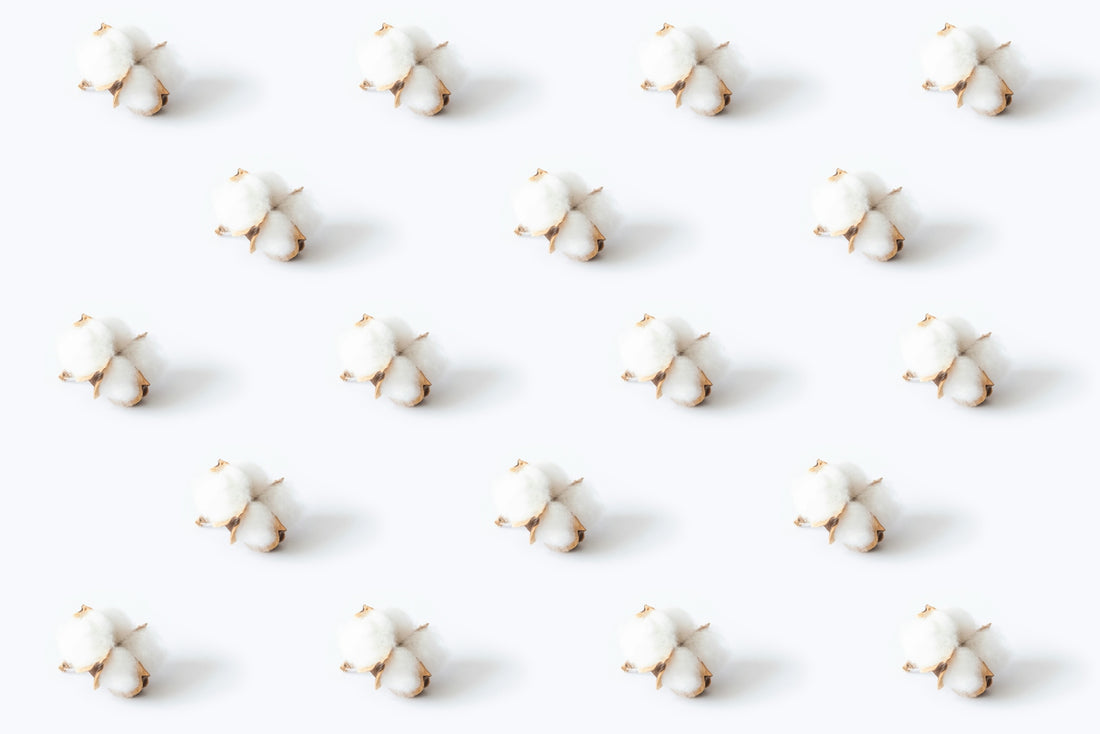 white cotton on white surface