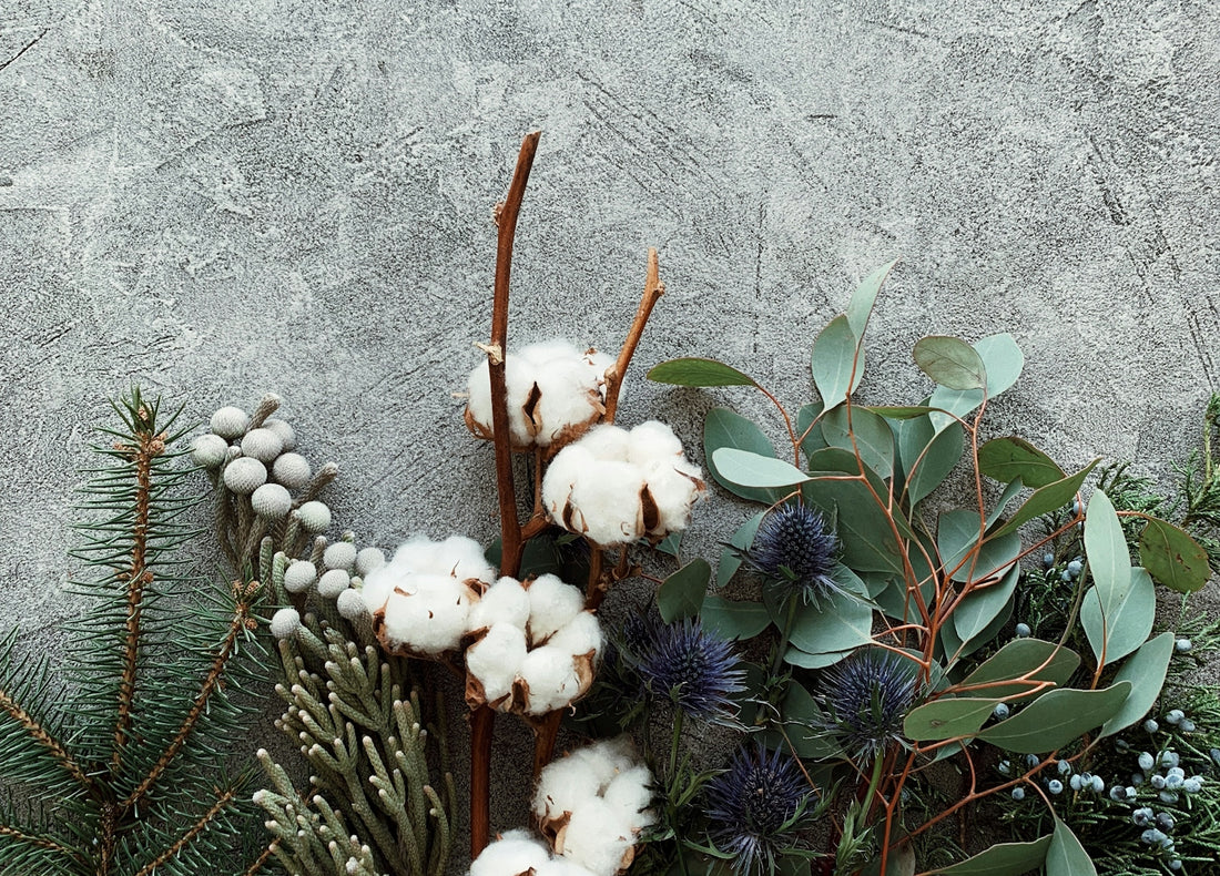 a close up of a bunch of cotton and plants