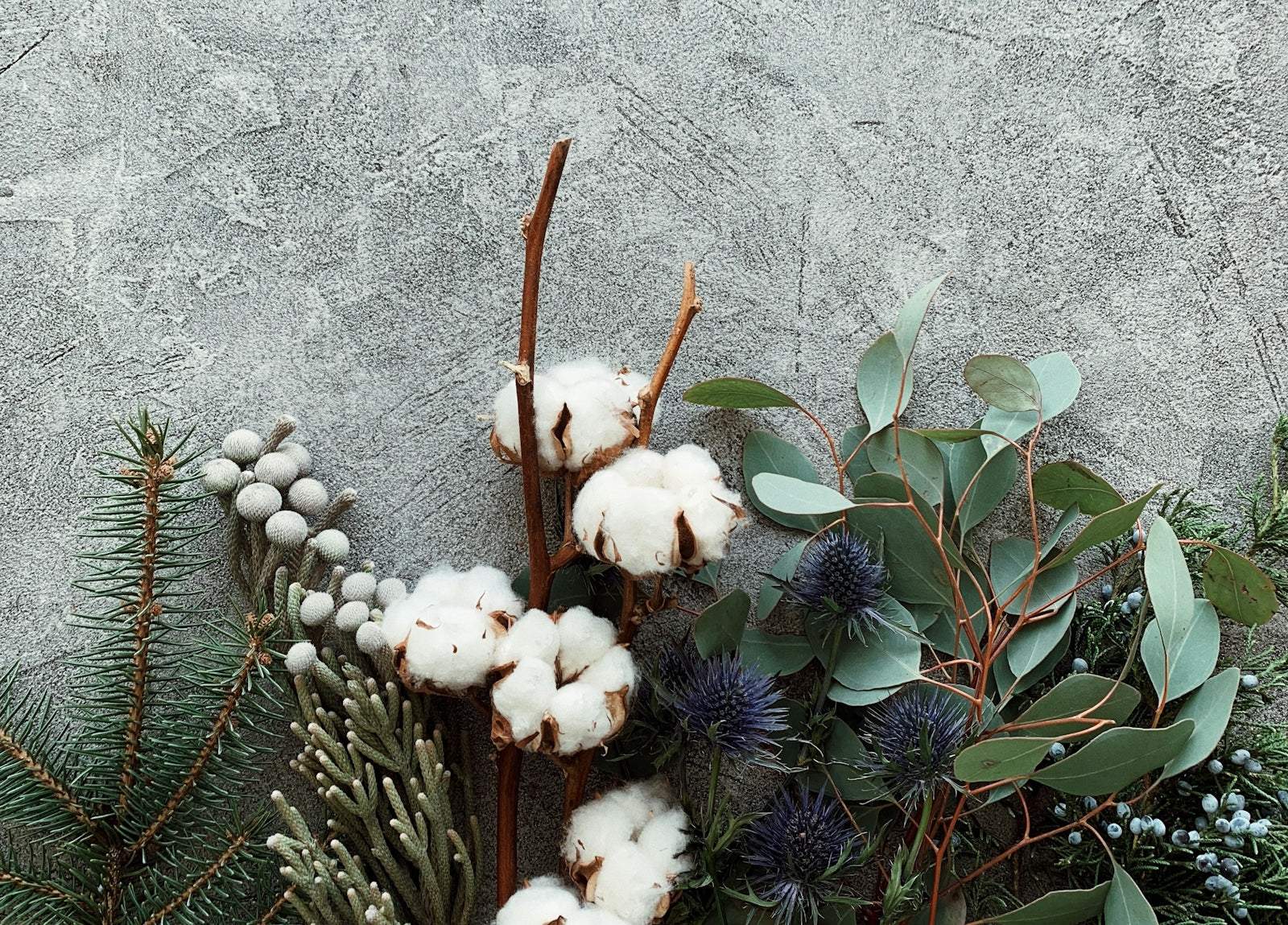 a close up of a bunch of cotton and plants