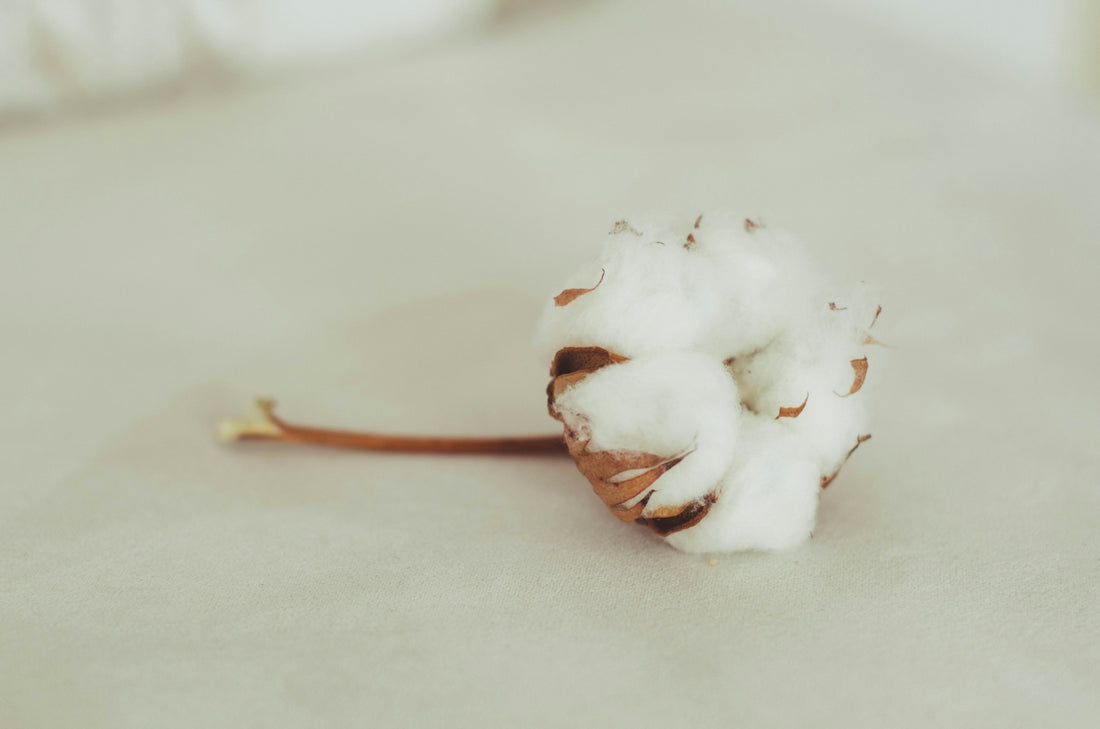a cigarette with a white substance